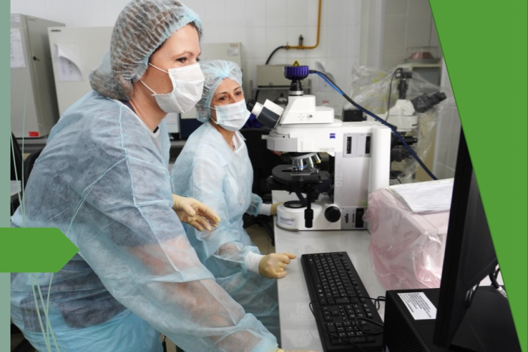 В шпике обнаружены бактерии группы кишечной палочки