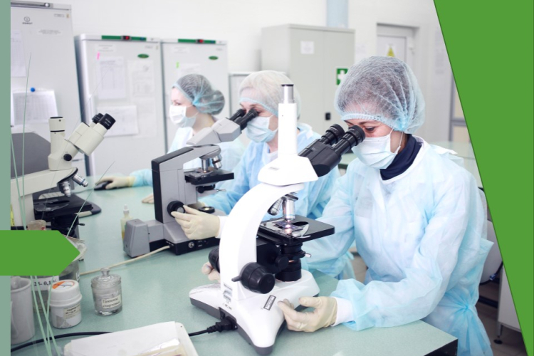 Свинина с бактерией: специалисты ФГБУ «Краснодарская МВЛ» обнаружили в мясе БГКП и КМАФАнМ