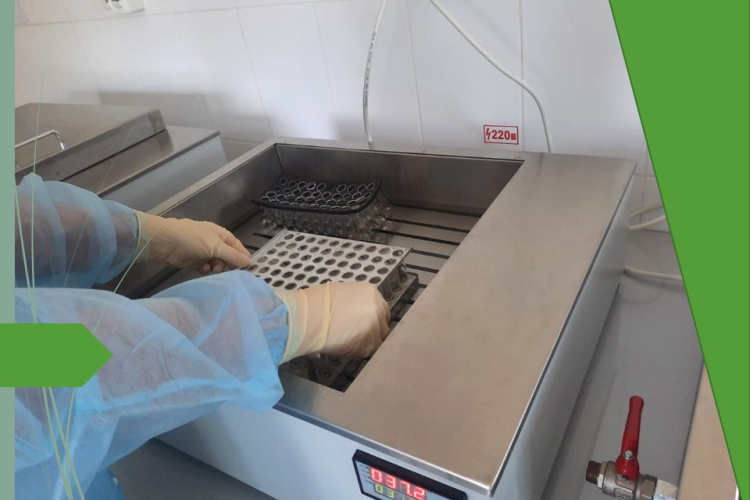 40 тысяч исследований – за пять месяцев 2023 года