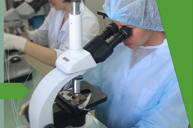 Сальмонеллы найдены в мясе птицы