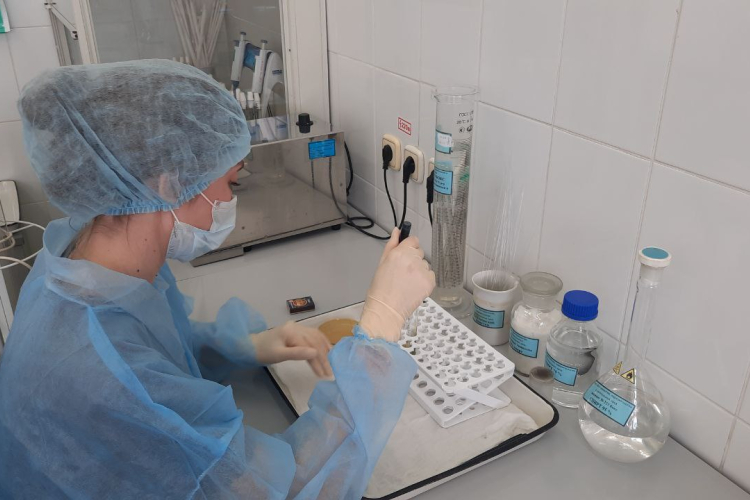 Гистомоноз обнаружен у погибшей курицы