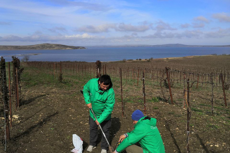 9 научно-исследовательских отчетов по итогам почвенных обследований подготовлено с начал 2023 года