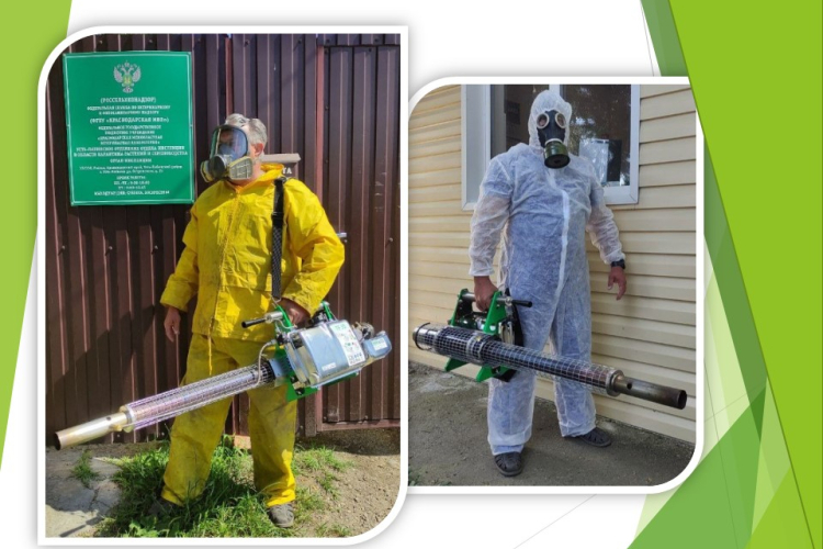 Дезинфекция: найти и обезвредить!