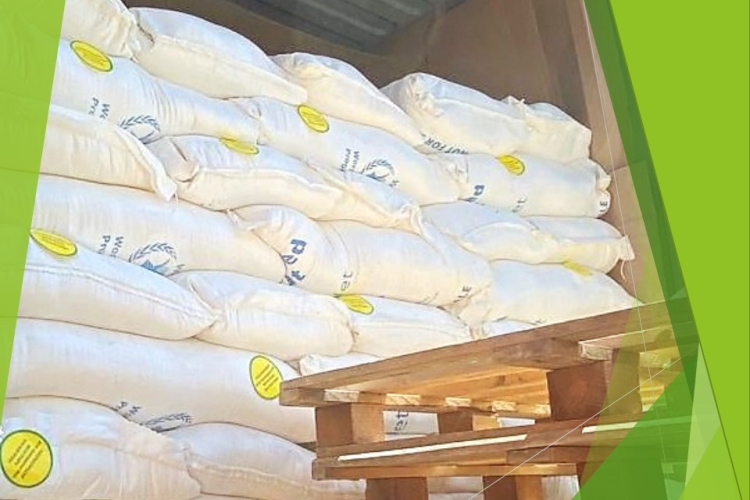 Отобраны пробы от партии пшеничной муки для отправки на экспорт в Никарагуа