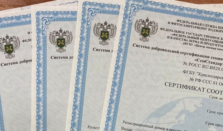 В Гулькевичской лаборатории выдано 193 сертификата на семена нового урожая