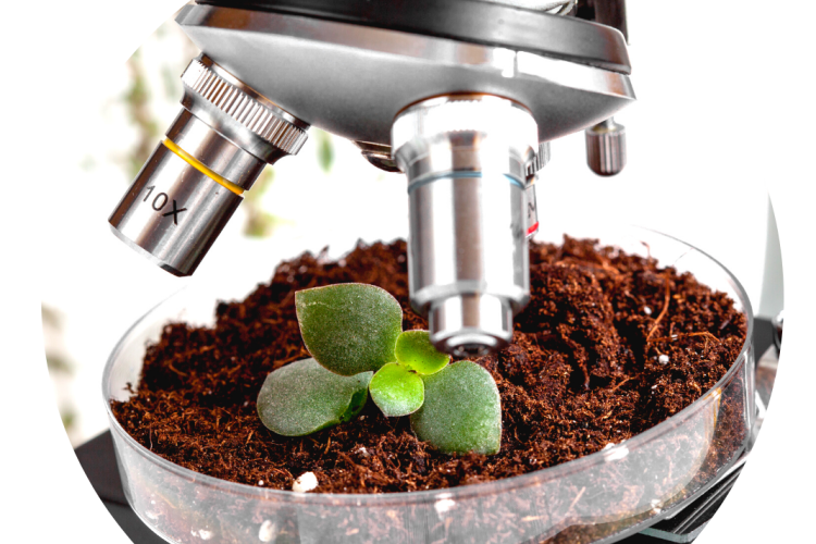 657 проб почвы на содержание органического вещества проанализировано с начала года