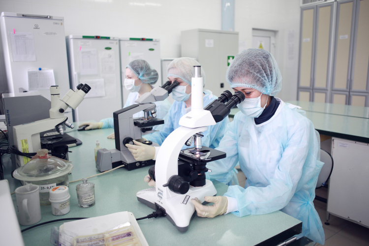 Виды исследований в области профилактики и диагностики болезней животных и птиц в Испытательном центре ФГБУ «Краснодарская МВЛ»