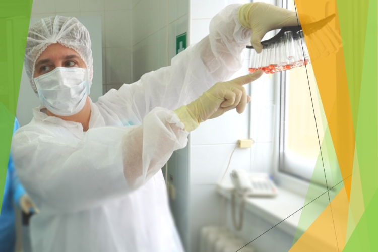 83528 исследований провели сотрудники отдела серологии и биохимии