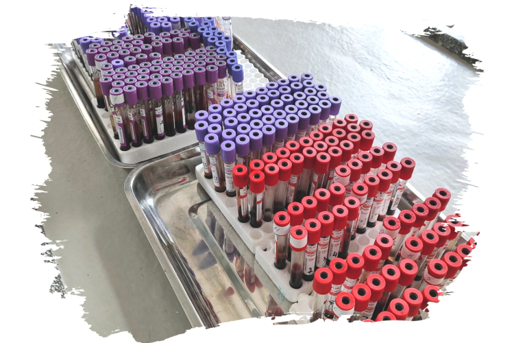За неделю диагносты ФГБУ «Краснодарская МВЛ» провели порядка 3,5 тысяч исследований на инфекционные заболевания животных и птиц
