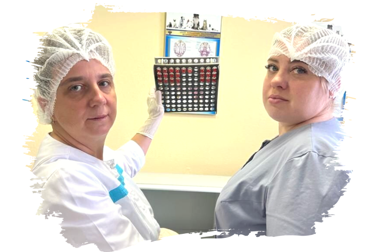 Обучение по теме «Серологическая диагностика болезней крупного рогатого скота»