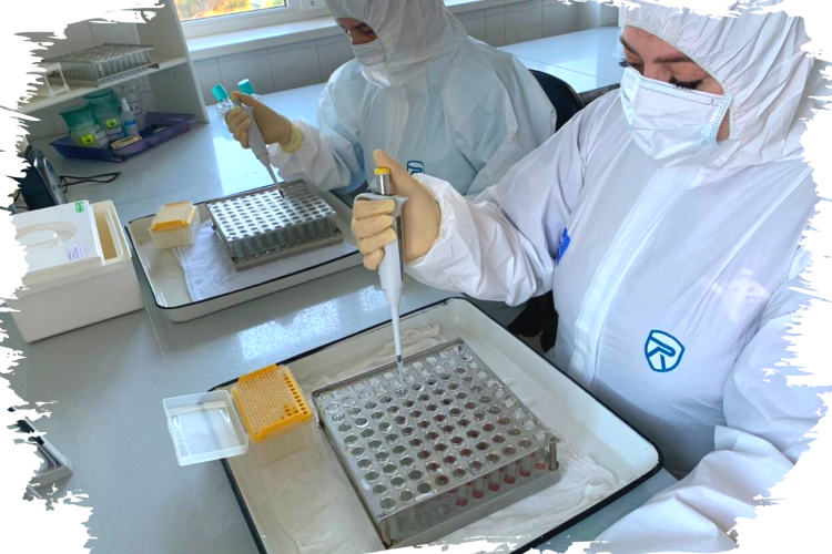 Больше исследований: серологи ФГБУ «Краснодарская МВЛ» подвели итог ушедшего года