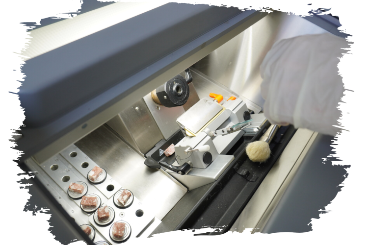 Выявление фальсификации в мясных продуктах в 2023 году