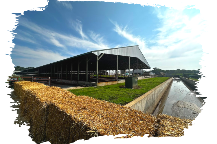 9 технических условий на ППЖ выдано по заявкам сельхозпредприятий