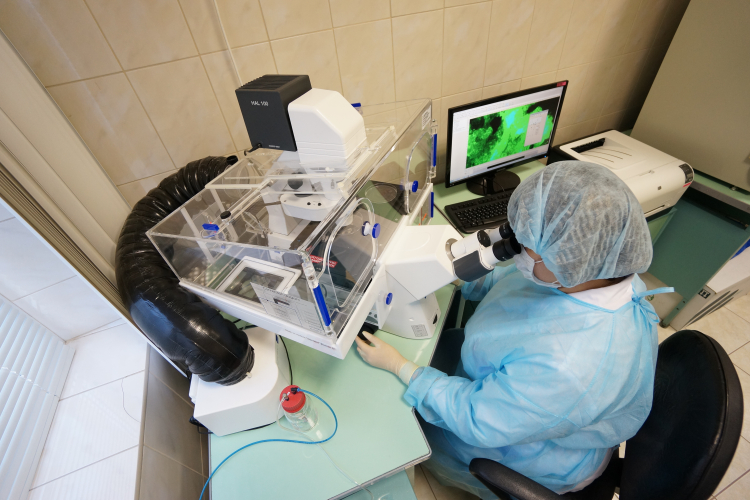 Контроль качества растительных компонентов в сыпучих добавках