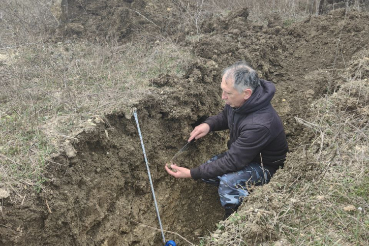 Проведено полевое обследование почвы земельного участка