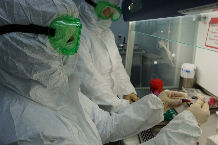 В 1 квартале 2024 года в ФГБУ «Краснодарская МВЛ» провели 5 975 исследований