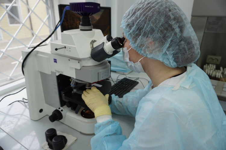 Копрограмма – необходимый комплексный тест для диагностики желудочно-кишечных болезней животных