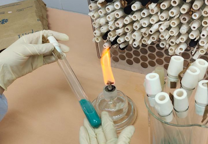 Специалисты ФГБУ «Краснодарская МВЛ» рассказали о среде Левинштейна-Йенсена