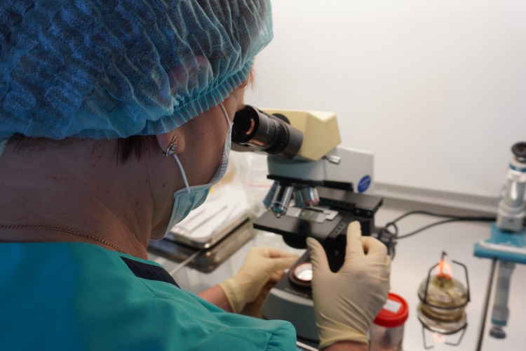 ФГБУ «Краснодарская МВЛ» провело 80 инспекций по показателям качества и безопасности