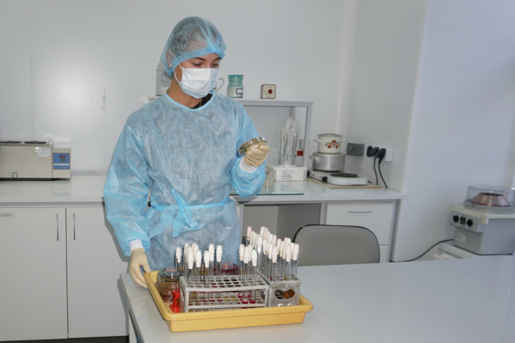 Специалистами выделена условно-патогенная микрофлора из помёта декоративной птицы
