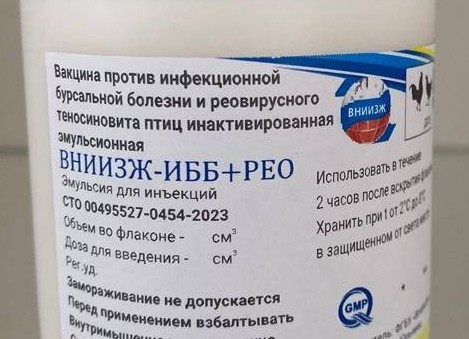 Вакцина против бурсальной болезни и реовирусного теносиновита птиц инактивированная эмульсионная «ВНИИЗЖ-ИББ+РЕО»