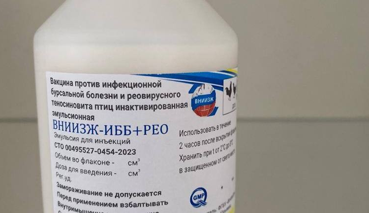 Вакцина против бурсальной болезни и реовирусного теносиновита птиц инактивированная эмульсионная «ВНИИЗЖ-ИББ+РЕО»