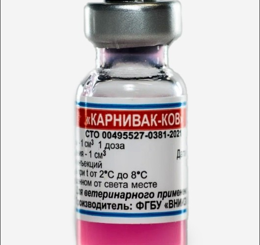 Вакцина против коронавирусной инфекции (COVID-19) плотоядных животных сорбированная инактивированная Карнивак-Ков