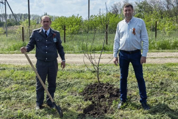В Краснодаре высадили Яблоневый сад в рамках Международной акции «Сад памяти»