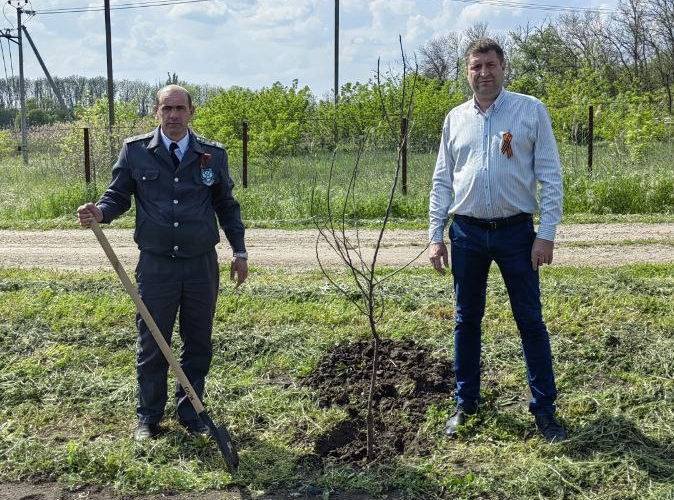 В Краснодаре высадили Яблоневый сад в рамках Международной акции «Сад памяти»