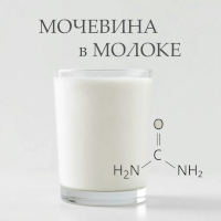 Мочевина в молоке - важный диагностический показатель!