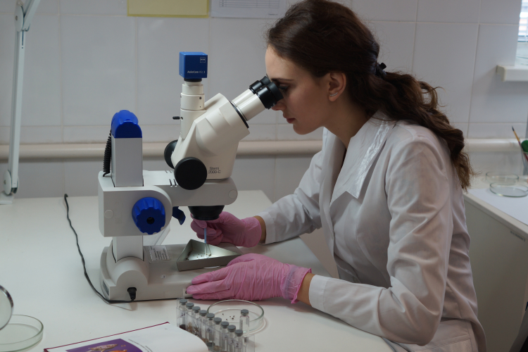 Итоги деятельности Краснодарского органа инспекции ФГБУ «ВНИИЗЖ» г. Новокубанск