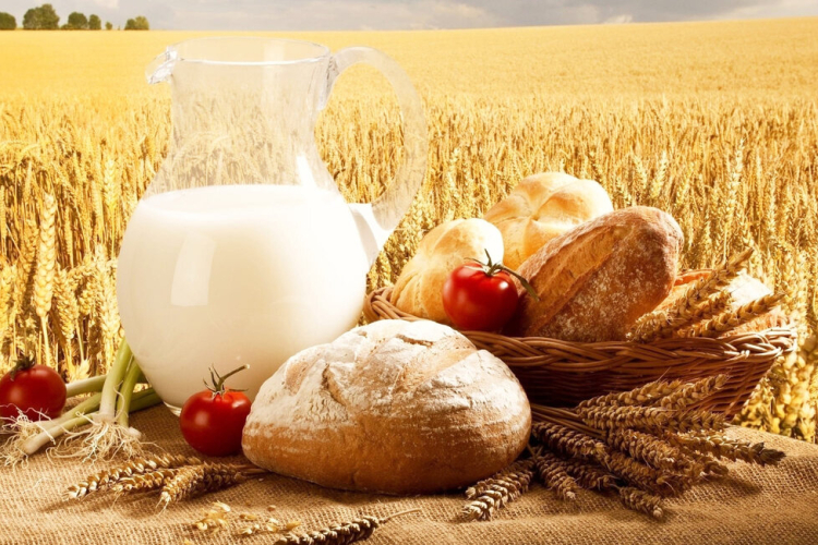 Дорогие труженики и ветераны сельского хозяйства!