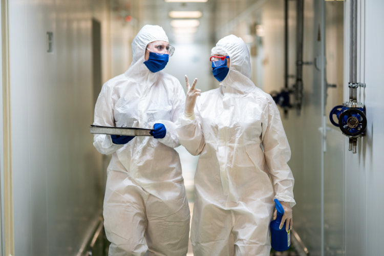 УЧЕНЫЕ ФГБУ «ВНИИЗЖ» РАЗРАБОТАЛИ НОВЫЕ МЕТОДИЧЕСКИЕ РЕКОМЕНДАЦИИ ПО КЛАССИФИКАЦИИ ВИРУСА АФРИКАНСКОЙ ЧУМЫ СВИНЕЙ