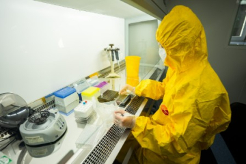 Ученые ФГБУ «ВНИИЗЖ» запатентовали первый в мире способ дифференциации штамма «Шеба» от других штаммов вируса