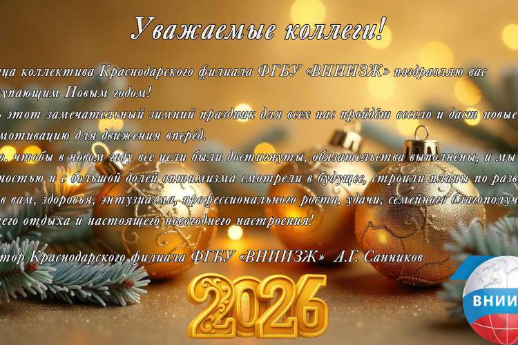 С наступающим Новым Годом!