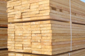 Специалисты лаборатории ФГБУ «ВНИИЗЖ» в Краснодаре проверили 925 кубометров хвойных лесоматериалов для экспорта в Сирию