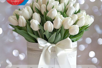 Дорогие, прекрасные, милые и добрые Дамы!