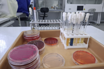 Патологоанатомическая картина тяжёлого инфекционного процесса