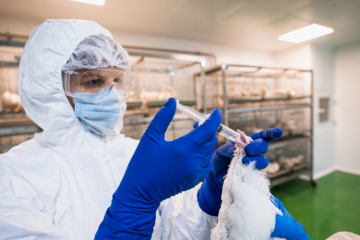 ПЕРВАЯ ПАРТИЯ ВАКЦИНЫ ФГБУ «ВНИИЗЖ» ПРОТИВ ГРИППА ПТИЦ H9N2 ВЫПУЩЕНА В ГРАЖДАНСКИЙ ОБОРОТ