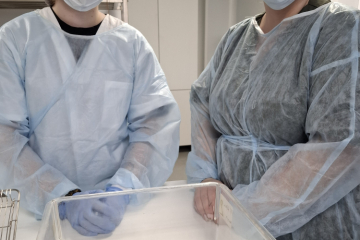 В Учебном Центре на базе Краснодарской испытательной лаборатории ФГБУ «ВНИИЗЖ» проведено обучение ветеринарных специалистов по бактериологии и паразитологии