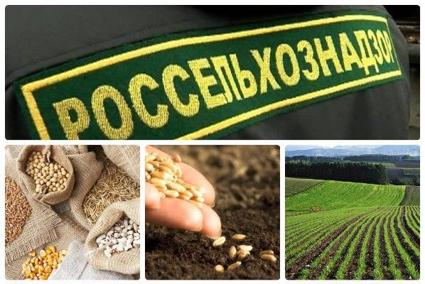 C днём образования Государственной службы карантина растений!