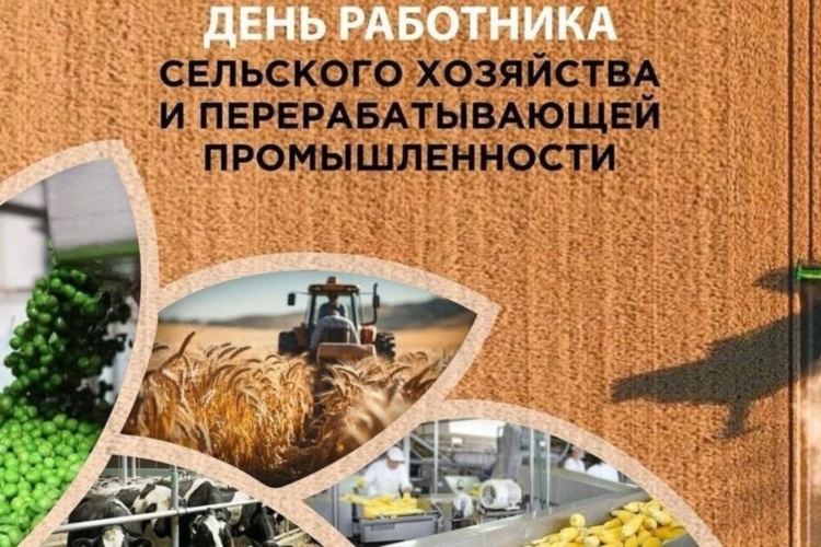 Поздравляем с Днём работника сельского хозяйства и перерабатывающей промышленности!