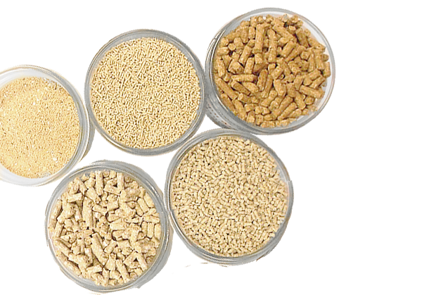 Качество и безопасность кормов, зерна
