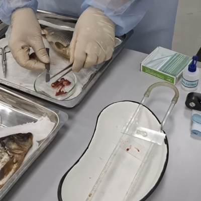 Screenshot_20251209_115602_YandexDisk