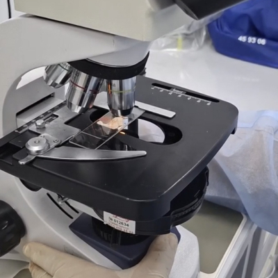 Screenshot_20251209_120102_YandexDisk