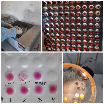 Polish_20241007_155859534