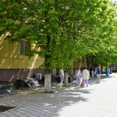 DSC04224 (2)