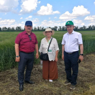 день поля_08062026