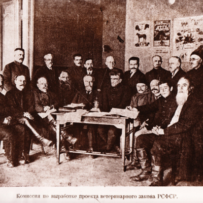 Комиссия по выработке проекта ветеринарного закона РСФСР