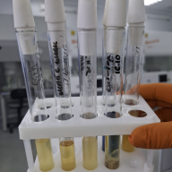 инфекция_10032026